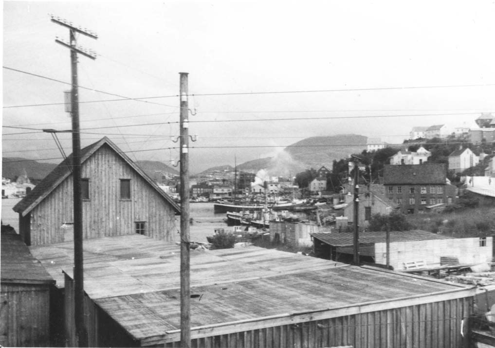 vgen_1949 vgen_1949